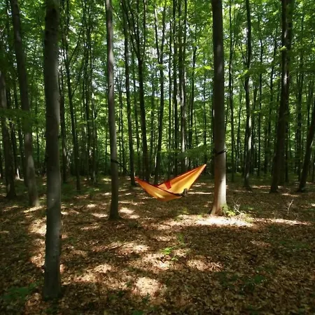 Casetta Bed and Breakfast Cesiomaggiore