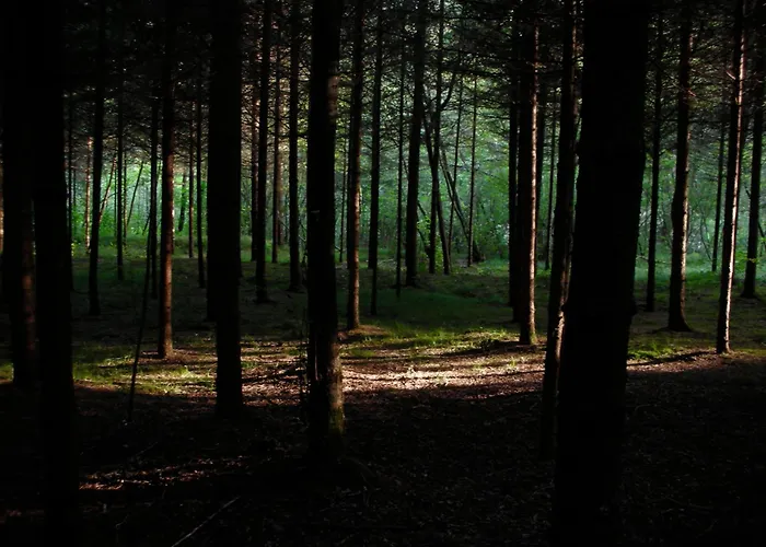 Bed & Breakfast Casetta Cesiomaggiore