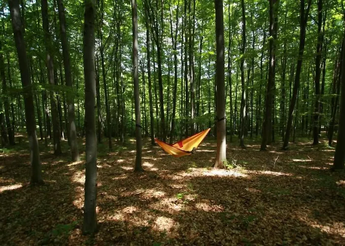 Casetta Bed & Breakfast Cesiomaggiore