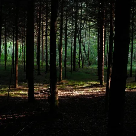 Couette-café Casetta Cesiomaggiore